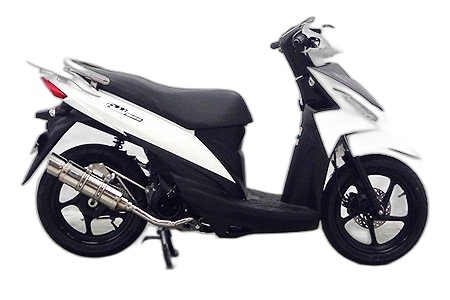 WirusWin ウイルズウィン ロイヤルマフラー ポッパータイプ アドレス110 SUZUKI スズキ フルエキゾーストマフラー マフラー