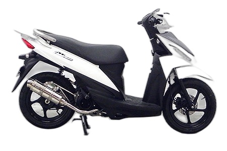 WirusWin ウイルズウィン ロイヤルマフラー スポーツタイプ アドレス110 SUZUKI スズキ フルエキゾーストマフラー マフラー