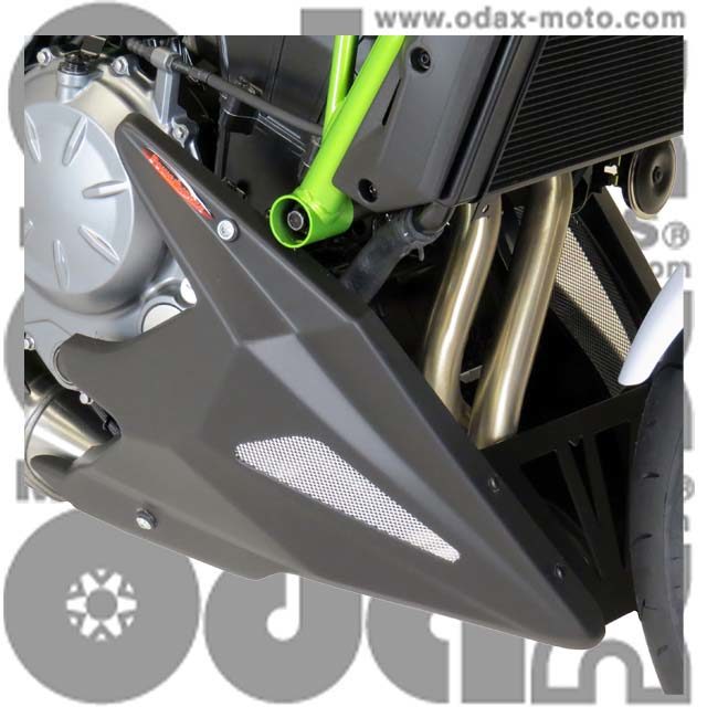 ODAX オダックス Powerbronze アンダーカウル カラー バイク用品 | bosanam.com.sa