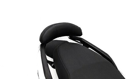 WirusWin ウイルズウィン バックレストキット シグナス グリファスCYGNUS GRYPHUS YAMAHA ヤマハ バックレスト 外装