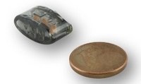 Shin-Yo シンヨー LED Module Ellipsoid Indicators ウインカー 灯火類 電装系
