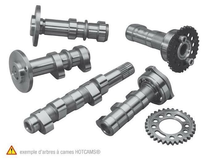 HOT CAMS ホットカムズ カムシャフト- ステージ2 Yamaha YFM660R YFM 660 RAPTOR 2WD LIMITED EDITION YAMAHA ヤマハ カムシャフト エンジンパーツ エンジン|ウェビック 店