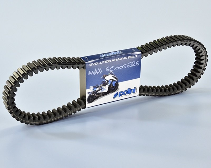 Polini ポリーニ Transmission Belt