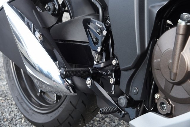 WOODSTOCK ウッドストック バックステップキット ジクサーSF250 ジクサー250 SUZUKI スズキ バックステップ ステップ 足回り