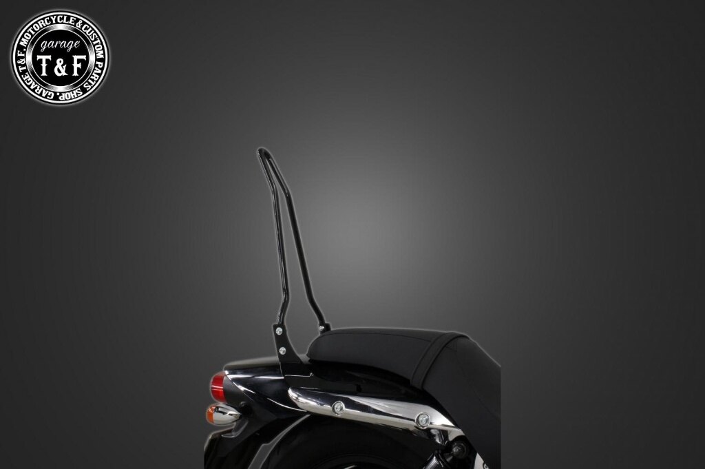 Garage T&F ガレージ 純正フェンダー専用シーシーバー エリミネーター250V KAWASAKI カワサキ グラブバー・タンデムバー・シーシーバー 外装