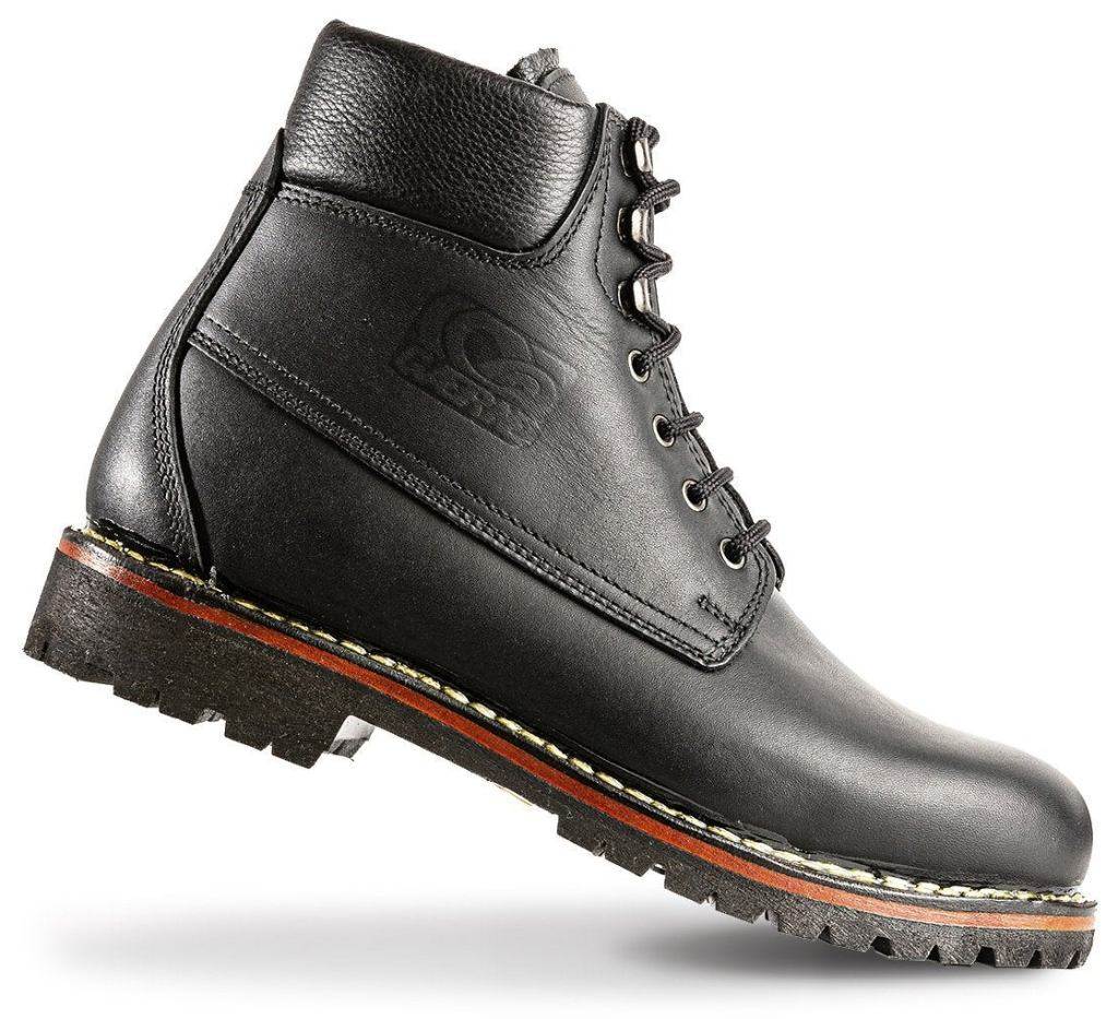 楽天市場】☆【GAERNE】ガエルネ FUGA フーガ《ブラック