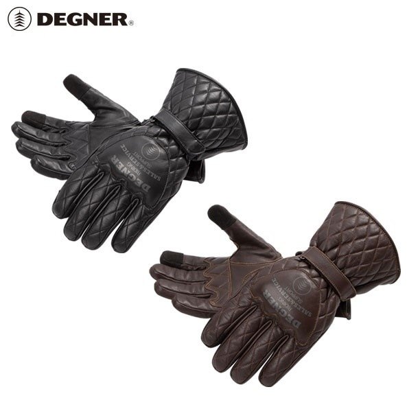 DEGNER デグナー ウィンタースポーツグローブ レザーグローブ グローブ アパレル