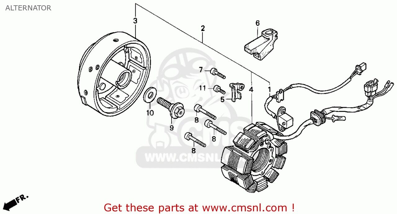 CMS シーエムエス STATOR COMP. CB250 1994 R BELGIUM FRANCE NETHERLANDS PORTUGAL SPAIN / SPO 1996 T ENGLAND MPH 1998 W AUSTRALIA KPH MEXICO 1999 X ITALY NIGHTHAWK 1990 L USA 1991 M CANADA 1992 N 1993 P SINGAPORE 1995 S 1997 V TWO FIFTY HONDA ホンダ 電装系 58,499円