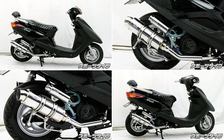 WirusWin ウイルズウィン ロイヤルマフラー スポーツタイプ アクシストリート YAMAHA ヤマハ フルエキゾーストマフラー マフラー