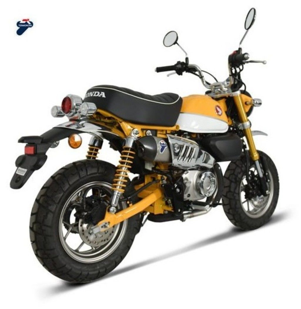 楽天市場】TERMIGNONI テルミニョーニ フルエキゾースト キット