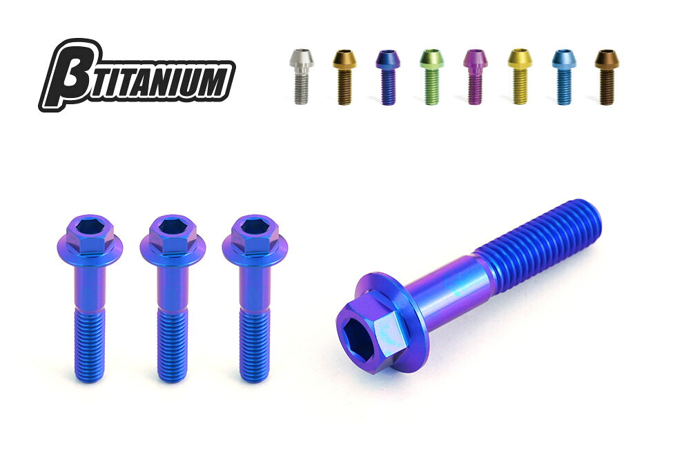 βTITANIUM ベータチタニウム ステアリングステムアンダーチタンボルトキット GSX-S1000 SUZUKI スズキ ステムナット・ステムボルト ハンドル周辺パーツ ハンドル カラー：シルバー (処理無し)