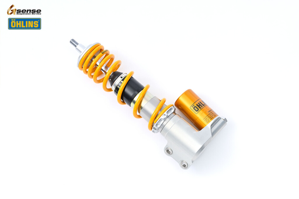 OHLINS オーリンズ フロントサスペンション GTS 300 Vespa ベスパ フロントフォーク サスペンション 足回り