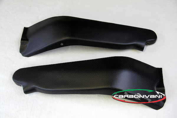 CARBONVANI カーボンバーニ フェールタンクサイドカバー PANIGALE V4R DUCATI ドゥカティ サイドカウル・サイドカバー カウル関連 外装
