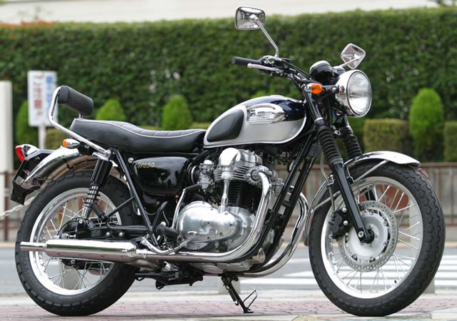 GOLDMEDAL ゴールドメダル タンデムグリップバックレスト W650 KAWASAKI カワサキ バックレスト 外装