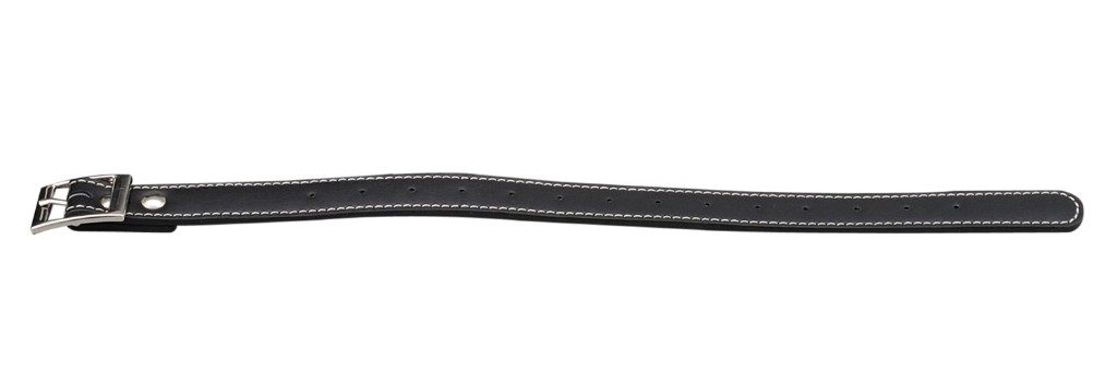 楽天市場】HBサドルバッグ 合皮固定ベルト1本 DAYTONA（デイトナ