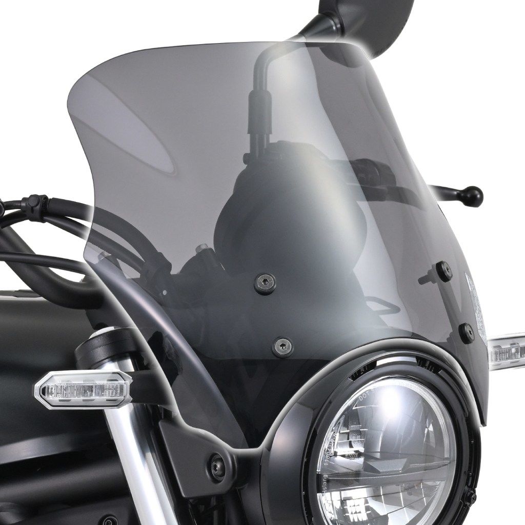 DAYTONA デイトナ ブラストバリアー ELIMINATOR KAWASAKI カワサキ スクリーン 外装