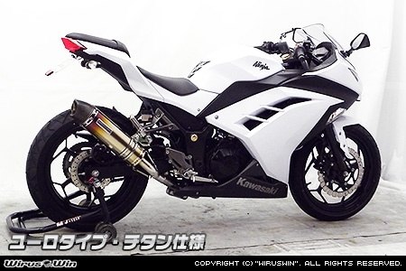 WirusWin ウイルズウィン スリップオンマフラー ユーロタイプ ニンジャ250 KAWASAKI カワサキ マフラー
