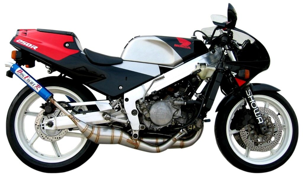 楽天市場】DOG FIGHT RACING ドッグファイトレーシング製 HONDA