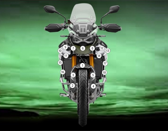 EAZI-GUARD イージーガード 車種別ストーンチッププロテクションフィルム Tiger 900 Rally TRIUMPH トライアンフ プロテクションフィルム・保護フィルム 外装 カラー：グロスサーフェス (艶あり)