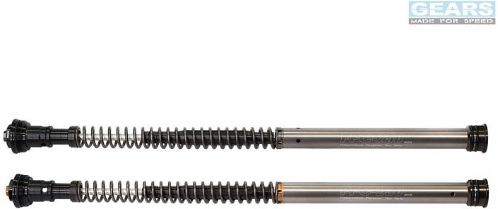GEARS RACING ギアーズレーシング FFC-250TT フロントフォークカートリッジ 倒立フォーク VITPILEN / SVARTPILEN 250 (-21) HUSQVARNA ハスクバーナ カートリッジキット サスペンション 足回り