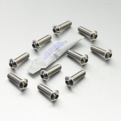 PRO BOLT プロボルト ディスクボルト スタンダード F800S K1200GT K1200R K1200RS K1200S K1300R R1200S 1290 Super Duke R BMW KTM 汎用ボルト・ネジ