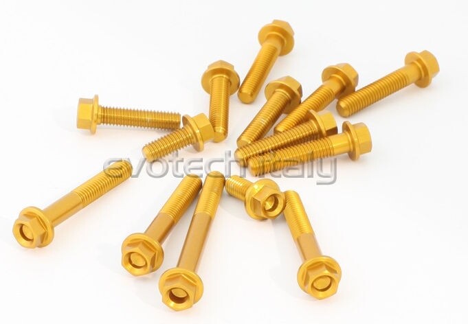 EVOTECH エボテック Engine Bolts Kit， Gold クランクケースボルト エンジンパーツ エンジン