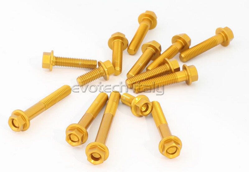 EVOTECH エボテック Engine Bolts Kit， Gold クランクケースボルト エンジンパーツ エンジン 14,807円