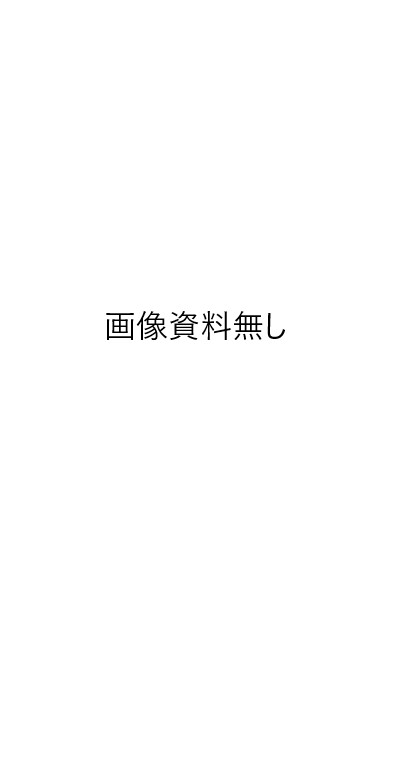 SP武川 SPタケガワ クランクケースセット クランクケース エンジンパーツ エンジン