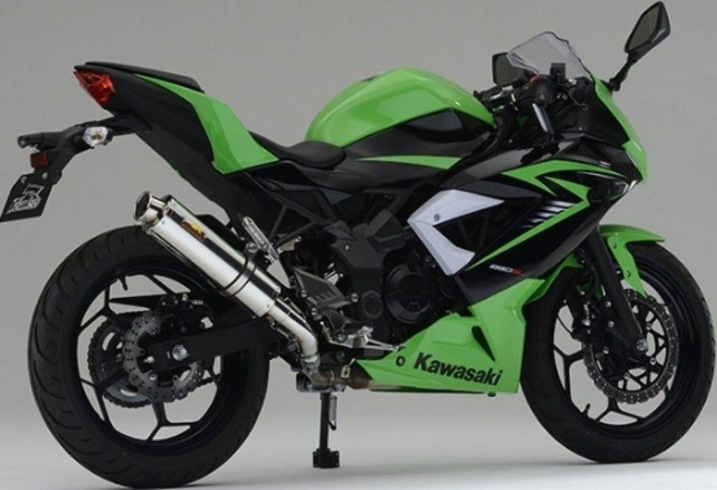 Realize リアライズ Aria(アリア)スリップオン ステンレスマフラー Ninja 250 SL KAWASAKI カワサキ スリップオンマフラー マフラー｜ウェビック　店