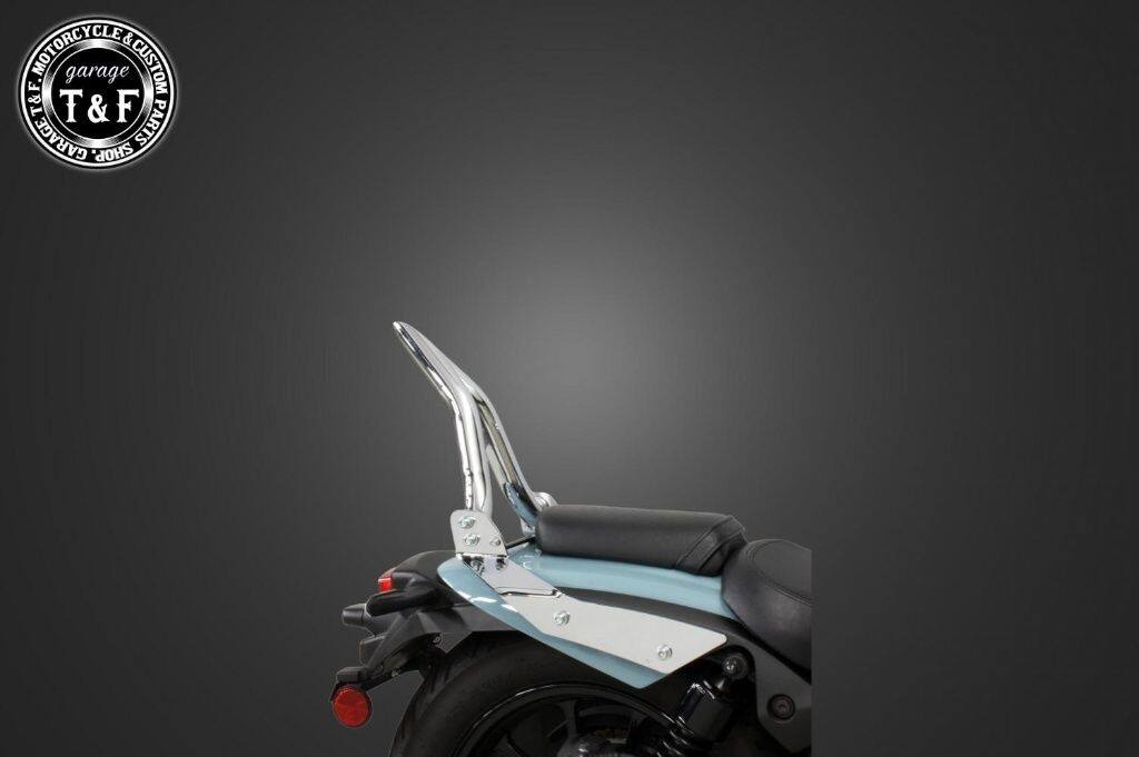 Garage T&F ガレージ 極太Φ38シーシーバー 純正フェンダー専用 エリミネーター400SE エリミネーター400 エリミネーター400プラザエディション KAWASAKI カワサキ グラブバー・タンデムバー・シーシーバー 外装 カラー：メッキ / タイプ：ショート(長さ：約350mm)｜ウェビック　店