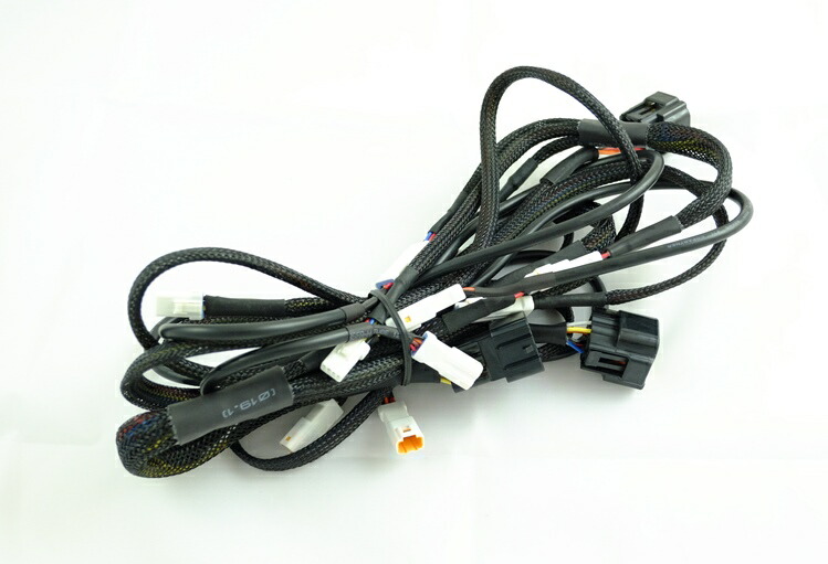 aRacer エーレーサー SpeedTek 1 to 10 Extended Cable その他ハーネス スイッチ・ハーネス関係 電装系