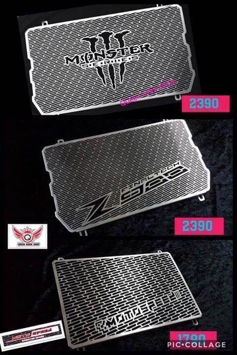 ARASHI アラシ Radiator Guard Monter Series Z900 KAWASAKI カワサキ ラジエーターコアガード・オイルクーラーコアガード 冷却関連 エンジン