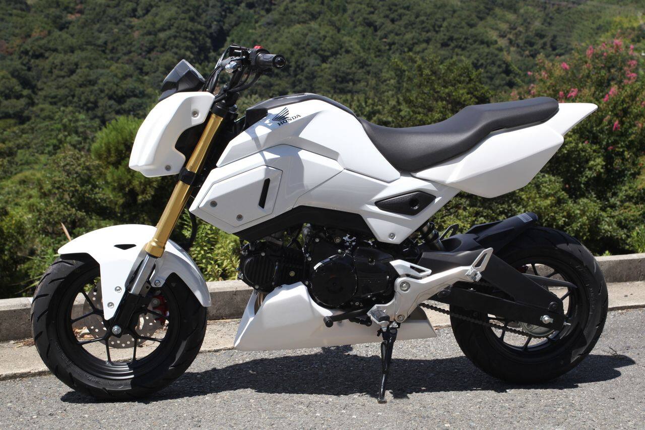 Magical Racing マジカルレーシング ゼッケンカウル グロム Hotjobsafrica Org