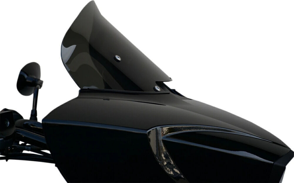 WIND VEST ウィンドベスト WINDSHIELD 10' DRKSMK VIC スクリーン 外装｜ウェビック　店 26,017円