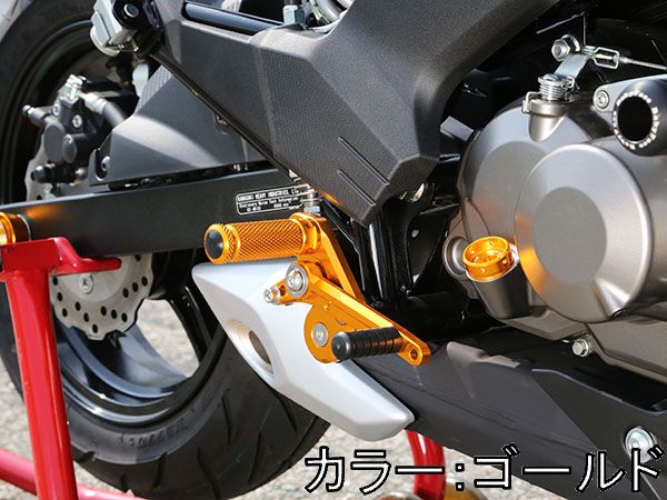 楽天市場】BABYFACE ベビーフェイス バックステップキット カラー：ブラック Z125 プロ KAWASAKI カワサキ : ウェビック  楽天市場店