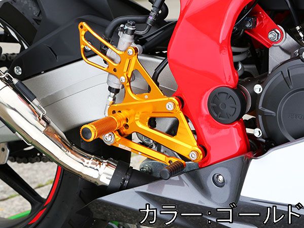 国際ブランド BABYFACE YZF-R7 バックステップ関連パーツ