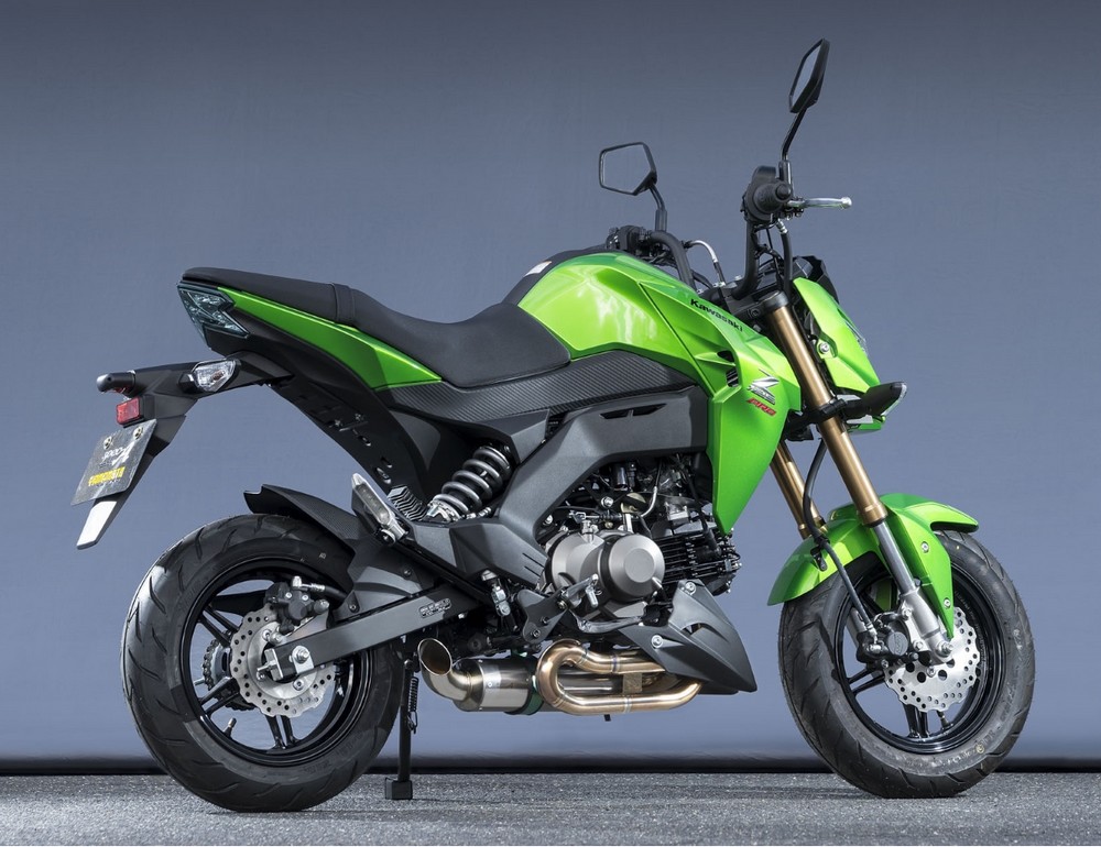 楽天市場】STRIKER ストライカー パワーミニ フルエキゾーストマフラー Z125 プロ KAWASAKI カワサキ : ウェビック 楽天市場店