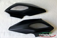 CARBONVANI カーボンバーニ エアボックスカバー 左用 クリア塗装