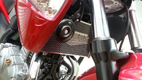 AGRAS アグラス コアガード GSR250 SUZUKI スズキ ラジエーターコアガード・オイルクーラーコアガード 冷却関連 エンジン