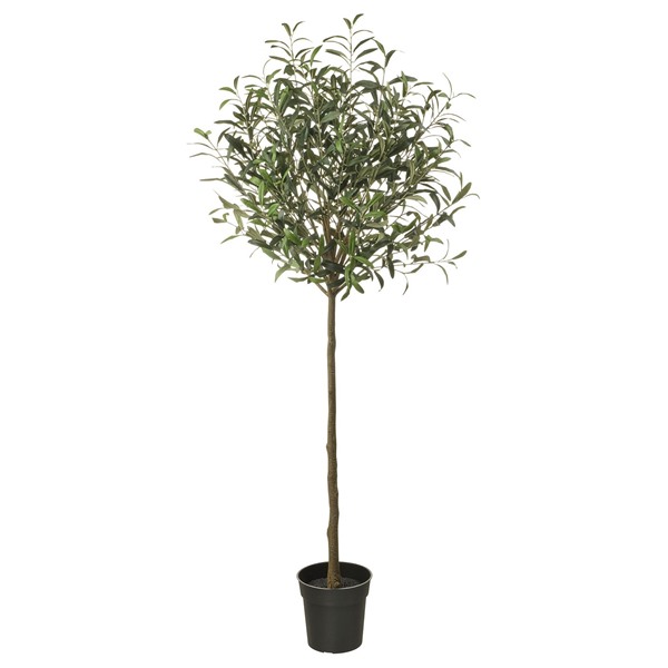 [IKEA/イケア/通販]FEJKA フェイカ 人工観葉植物, 室内/屋外用/オリーブ グリーン, 19 cm[E](60617698)