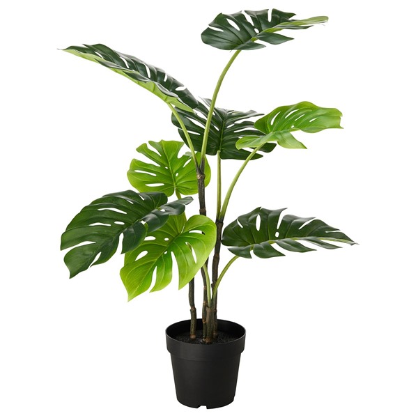 [IKEA/イケア/通販]FEJKA フェイカ 人工観葉植物, 室内/屋外用 モンステラ, 19 cm[J](60615246)