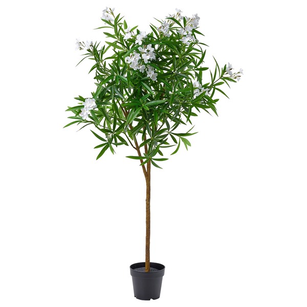 [IKEA/イケア/通販]FEJKA フェイカ 人工観葉植物, 室内/屋外用/キョウチクトウ ホワイト, 19 cm[E](60617702)