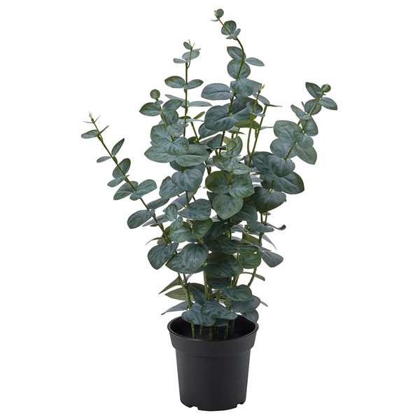 [IKEA/イケア/通販]FEJKA フェイカ 人工観葉植物, 室内/屋外用 ユーカリ, 15 cm[D](00615273)