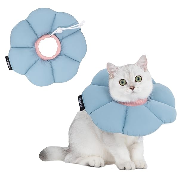 エリザベスカラー 猫 犬 COTOREAL ペット用品 傷口保護 傷舐め防止 楽天市場】【楽天1位】犬 猫 ソフトエリザベスカラー ペット