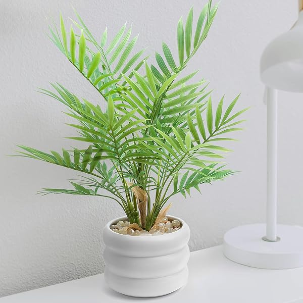 楽天市場】【鉢付き】フェイクグリーン 卓上 ミニ 人工観葉植物