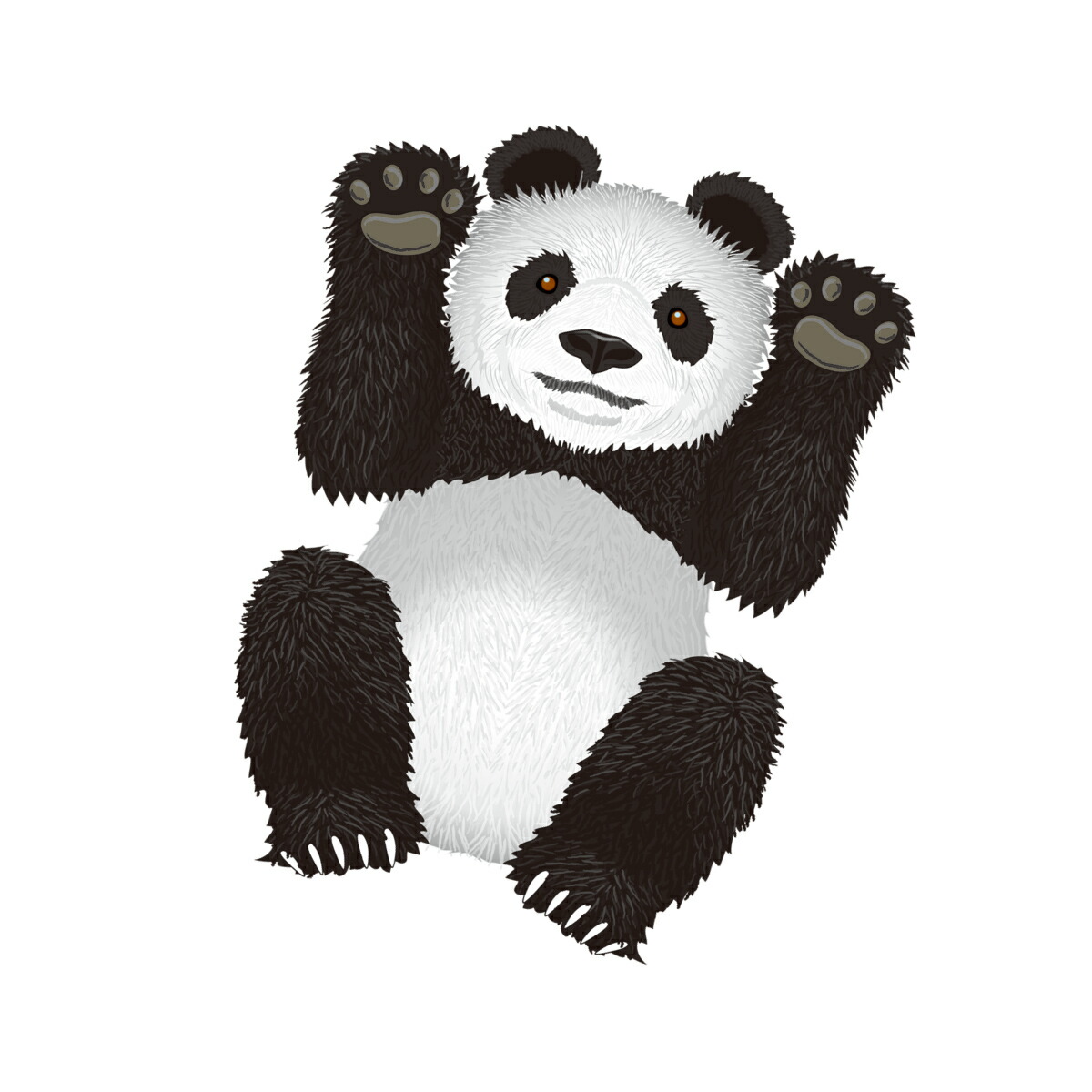 楽天市場 凧 カイト Windnsun Dlxナイロン スカイズー パンダ エレファント タイガー ライオン ビックサイズ 凧揚げ 凧あげ お正月 Weekend By Tryl