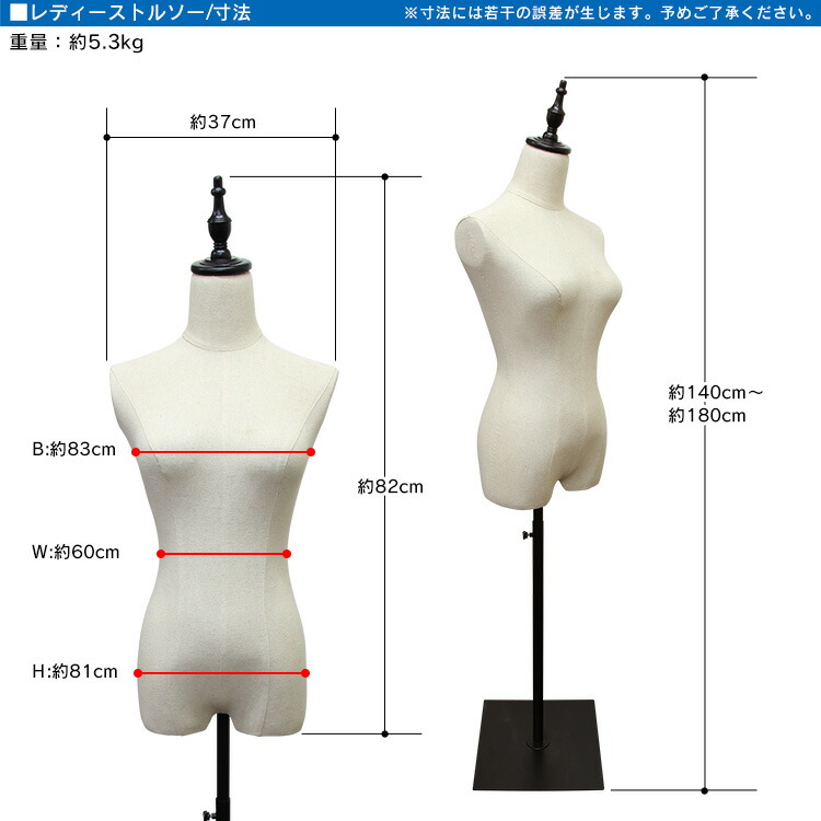 P3倍 6 11 01 59迄 トルソー 7号 レディース マネキン ボディ 洋裁トルソー 女性 スリムボディ 着付マネキン 裁縫スリム 軽量 スクエア脚 スチール 2穴式 パンツ対応 ディスプレイ用 おしゃれ Napierprison Com