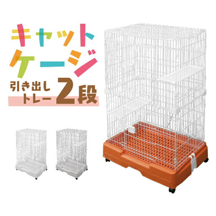 楽天市場】【本日限定クーポンで10%OFF】給水ボトル 猫用 ボール