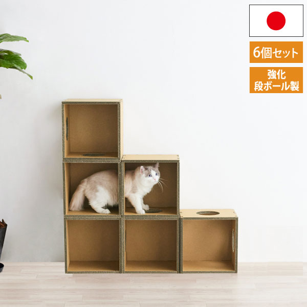 キャットボックス キャットタワー ペットインテリア 猫グッズ Paper New Standard 強化段ボール KM-AW-025-01|わくわく生活