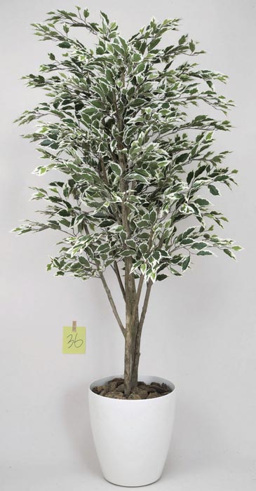 アートグリーン フェイクグリーン 人工観葉植物 光触媒 光の楽園 ベンジャミンツリー斑入り1.8 154K520|わくわく生活